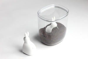 BELLA BUNNY STORAGE CONTAINER