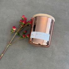 Load image into Gallery viewer, JUNIPER &amp; BALSAM SPRUCE | HOLIDAY LIMITED EDITION