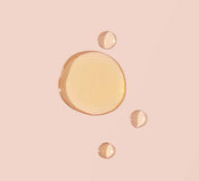 Load image into Gallery viewer, WILD | CANNABIS &amp; HEMP RICH FACE &amp; BODY OIL