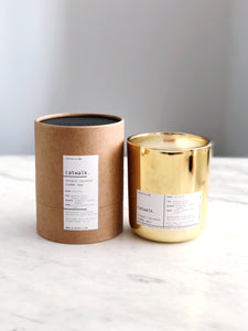 CATWALK | VIRGIN COCONUT CRÈME WAX & WOODEN WICK CANDLE