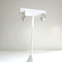 Load image into Gallery viewer, U-DISC EARRINGS